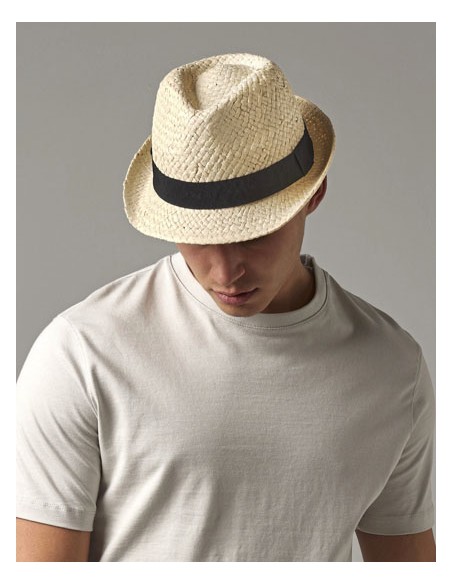 BEE-B720-Festival Trilby 2